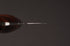 NIGARA SG2 RAINDROP ANMON KUROSOME KIRITSUKE GYUTO 210 SPECIAL WESTERN PREMIUM IRONWOOD HANDLE